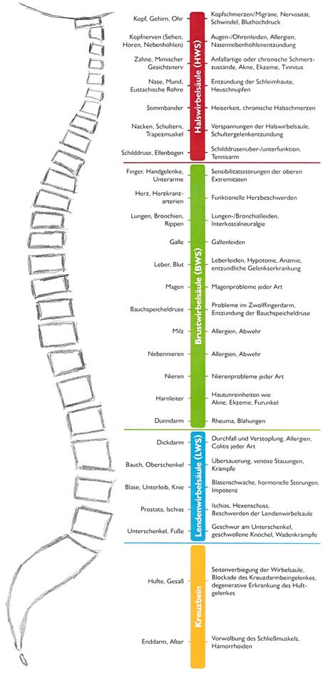 therapie_=_merkt Osteopathie Wilhelmshaven Wirbelsäule